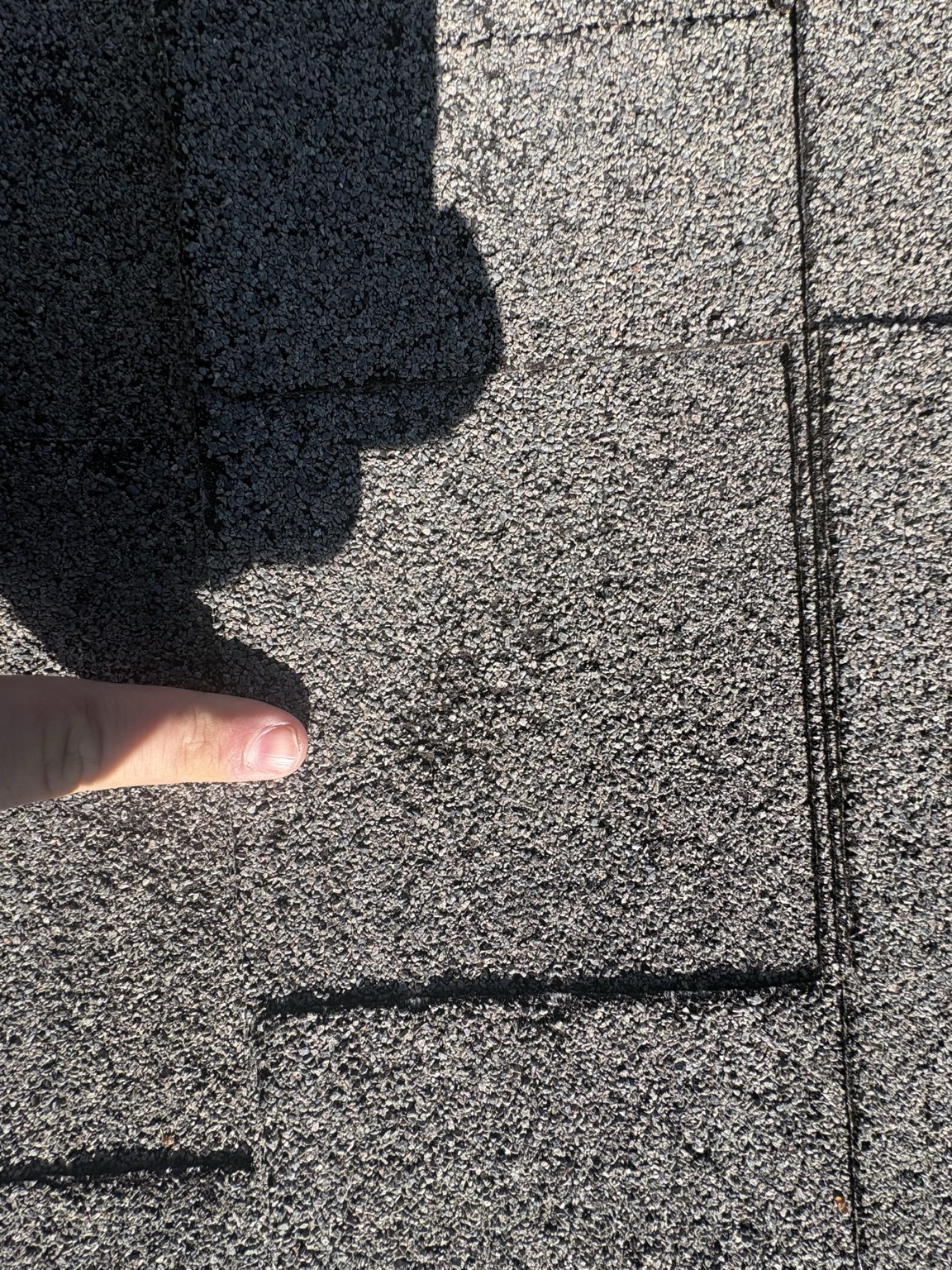 Roof shingle damage
